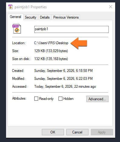 Windows paintjob file properties showing the local file location