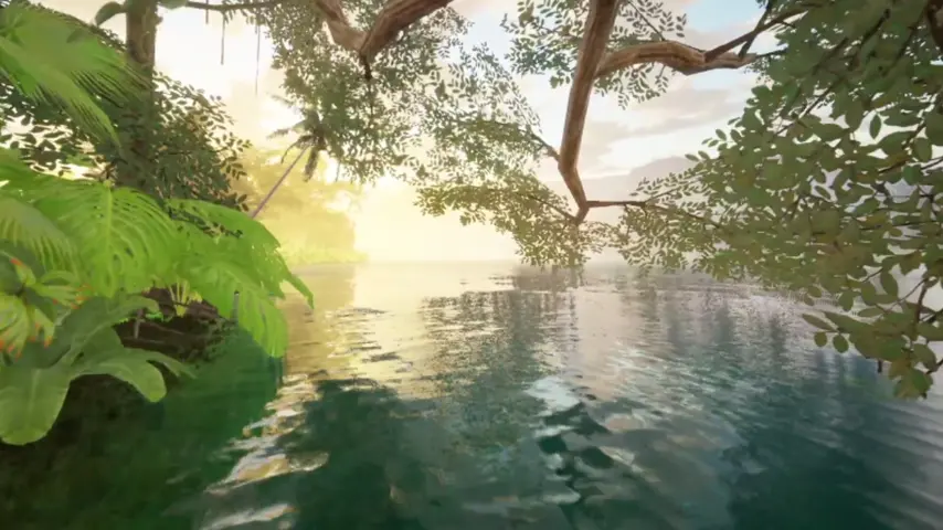 Amazonas-Regenwald